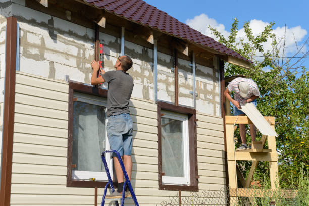 Best Custom Trim and Detailing for Siding  in Wilder, KY