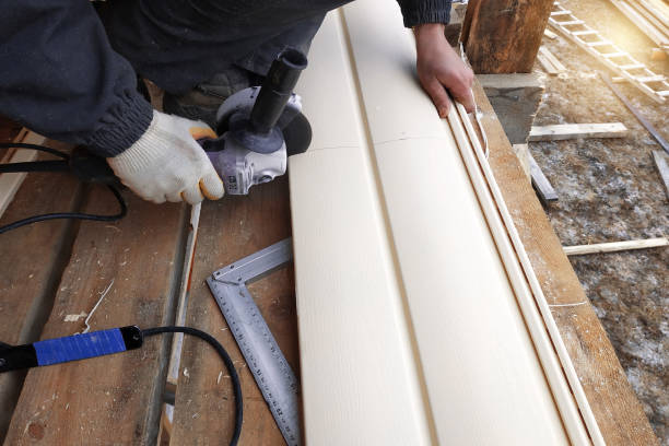 Best Custom Trim and Detailing for Siding  in Wilder, KY